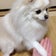 熟年ゴルファー未成長日記  目指せシングル