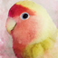 くるみのサムネイル