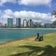 ☆ お気楽極楽 Hawaii Life からのFlorida Life ⭐︎