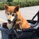 summyの楽しく美味しく元気なブログ