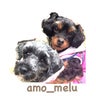 amo_meluのプロフィール