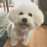 もなこっぺのプロフィール