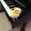 画像 ～音楽の中で～ 三重県松阪市　坂井恵子ピアノ教室　の独り言ブログのユーザープロフィール画像