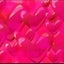 happy-fourleaves-luckyのサムネイル