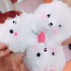 二重メイキングアドバイザーきくりんのプロフィール