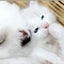 ゆゆのサムネイル