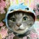 ごん太とはなこの日常 ねこ日記