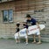 商社マンで男性整理収納アドバイザー なつパパ