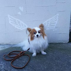AKEMIのプロフィール