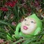 画像 コタブロ日記　　　多肉植物・ヤシ・蘇鉄・猫好き集まれ～!!　のユーザープロフィール画像