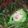 コタブロのプロフィール