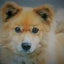 らっきーままのサムネイル