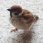 画像 注ぎ込まれる言葉のユーザープロフィール画像