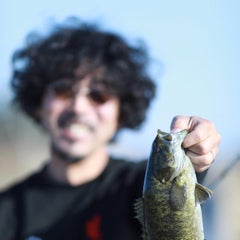 マーハーのプロフィール