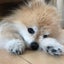 ひかりRail☆。のサムネイル