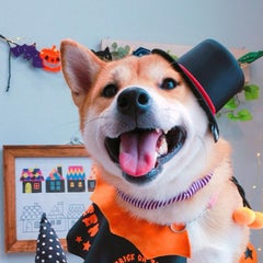なごみん家のプロフィール