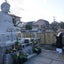 画像 遠照山 (尼崎大仏) 光明寺のブログのユーザープロフィール画像
