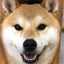 画像 柴犬ごうちゃんの日記のユーザープロフィール画像