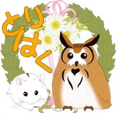 妹尾みのりのプロフィール