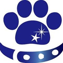 人を感動させる仕事とは Blue Star Official Blog 人を感動させる仕事とは Blue Star Official Blog