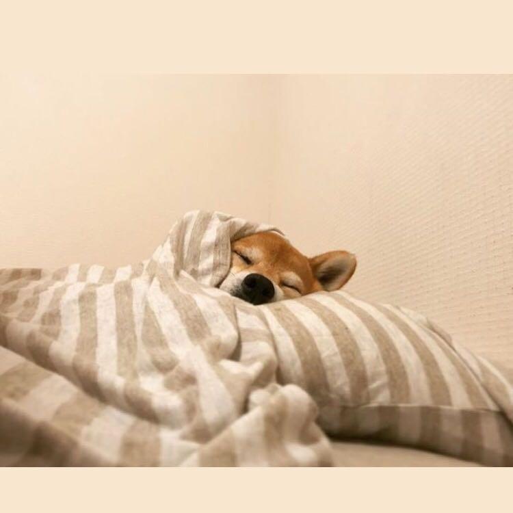 ななえる
