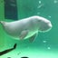 onelittlewish1のサムネイル