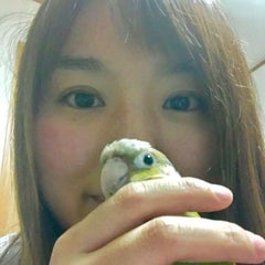 けろまゆのプロフィール