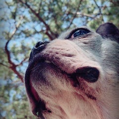まゆつんのプロフィール