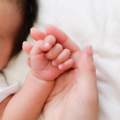 寄生虫嫁のプロフィール