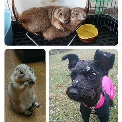 プレリー＆Dogのプロフィール