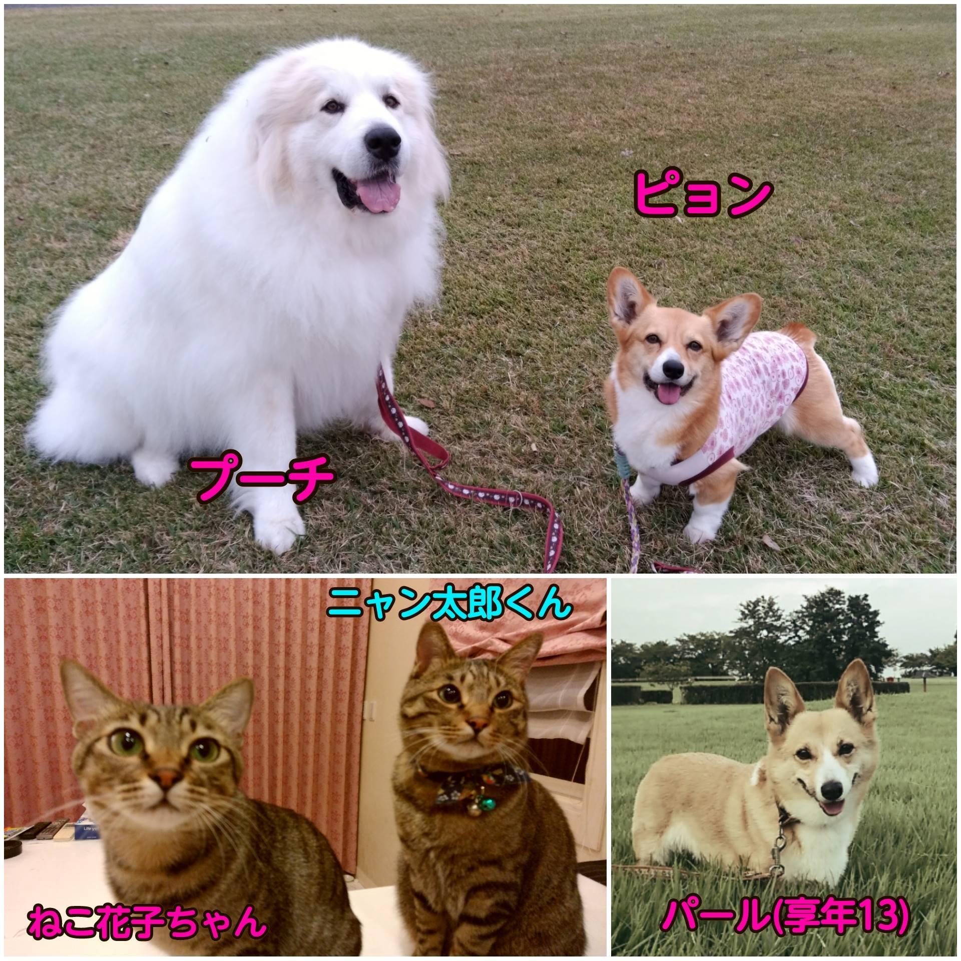 My Image 5