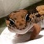 渚の遠投師のサムネイル