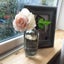 画像 FrenchLace、Flower lesson、flower、お花のある暮らしのユーザープロフィール画像