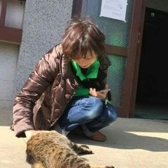 猫の幸せが私の幸せ 猫の幸せが私の幸せ