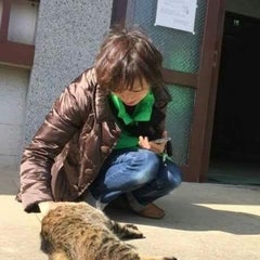 猫の幸せが私の幸せ