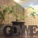 gommesendaiforusのブログ