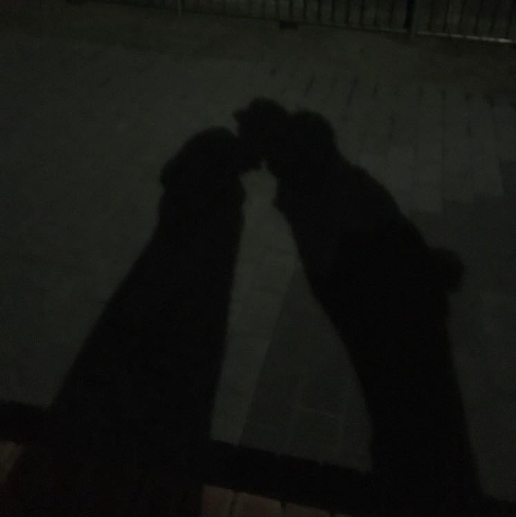 みかたま