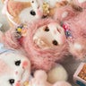 みうもえのプロフィール