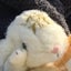 愛倉ゆき名のサムネイル