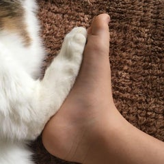 かーちゃんのプロフィール