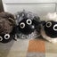 tokomaのサムネイル