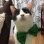 miyaのサムネイル