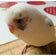 車中泊の旅　時々インコ　常に酒