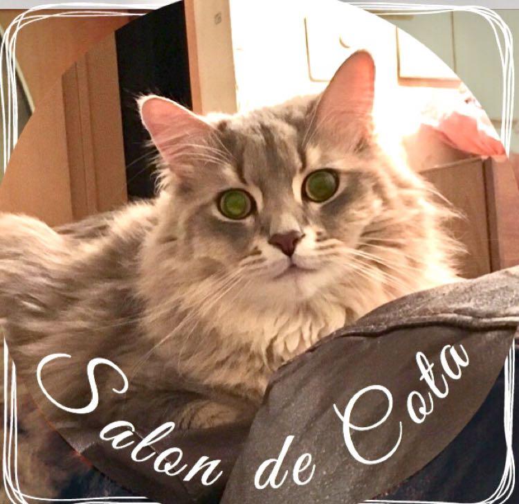salondecota