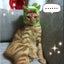 画像 韓国仕入れ買い物momo♪韓国旅行三昧！のユーザープロフィール画像