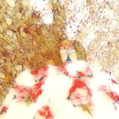 ayus2_占い師のプロフィール