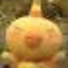 メデューサの頭 の独り言 メデューサの頭 の独り言