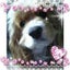 まひるのサムネイル