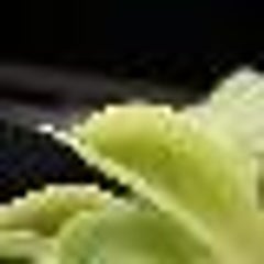 シートベルトがーー ｏ ふぁるこんの想い