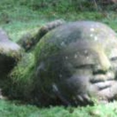 ふくのプロフィール